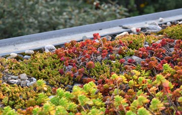 the cost of Geddington green roof installation
